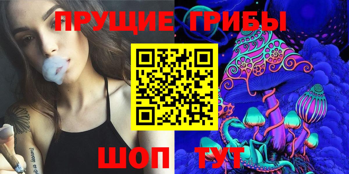 Гатчина  продажа наркотиков  Вход с VPN  Галлюциногенные грибы Psilocybe 